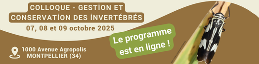 Copie_de_petite_Banniere_mailjet_39_.png
